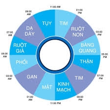 THÒI GIAN VÀNG CHO MỘT GIẤC NGỦ KHỎE...